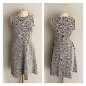 Fit and Flare Banana Republic dress